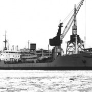 Billesborg 1